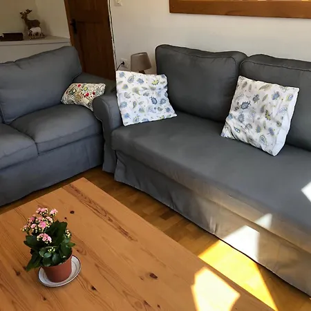 House Jelenko Bovec