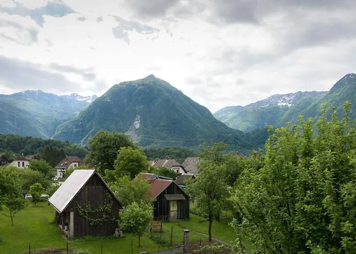 House Jelenko בובק